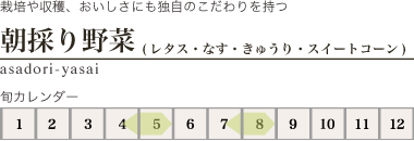 朝採り野菜タイトル