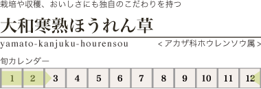 大和寒熟ほうれん草タイトル