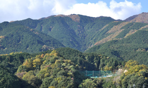 きれいな水を生む葛城山