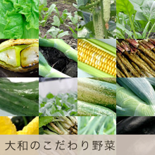 大和のこだわり野菜